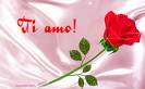 offerte